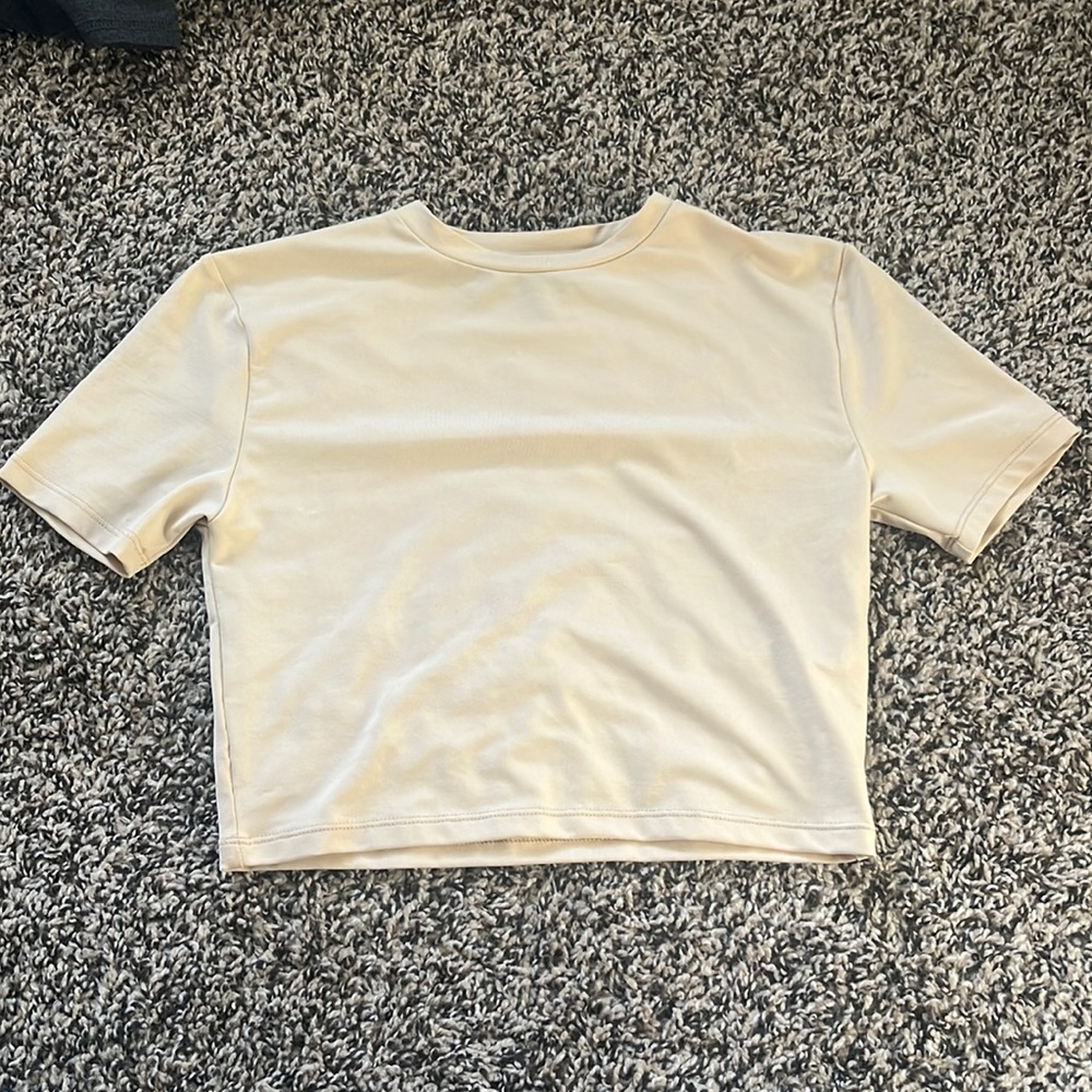 PLT Nude Crop Top